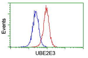 UBE2E3 Antibody in Flow Cytometry (Flow)