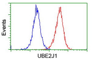 UBE2J1 Antibody in Flow Cytometry (Flow)