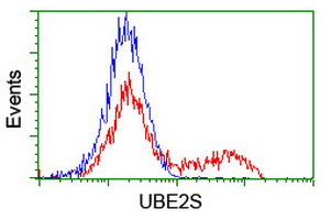 UBE2S Antibody in Flow Cytometry (Flow)