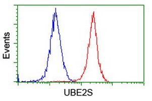 UBE2S Antibody in Flow Cytometry (Flow)