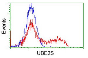 UBE2S Antibody in Flow Cytometry (Flow)