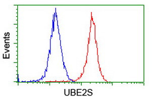 UBE2S Antibody in Flow Cytometry (Flow)