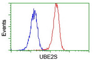 UBE2S Antibody in Flow Cytometry (Flow)