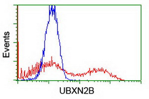 UBXN2B Antibody in Flow Cytometry (Flow)