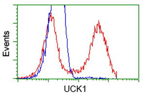 UCK1 Antibody in Flow Cytometry (Flow)