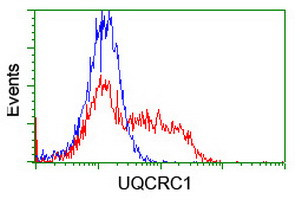 UQCRC1 Antibody in Flow Cytometry (Flow)