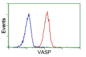 VASP Antibody in Flow Cytometry (Flow)