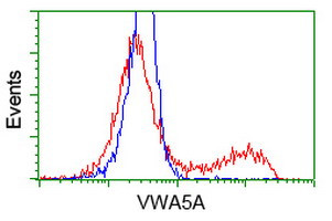 VWA5A Antibody in Flow Cytometry (Flow)