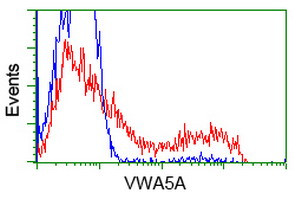 VWA5A Antibody in Flow Cytometry (Flow)