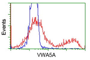 VWA5A Antibody in Flow Cytometry (Flow)