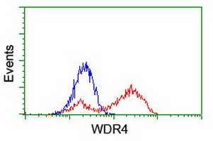 WDR4 Antibody in Flow Cytometry (Flow)