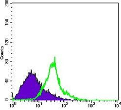 WNT1 Antibody in Flow Cytometry (Flow)