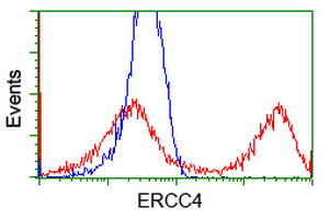 XPF Antibody in Flow Cytometry (Flow)