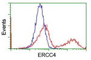 XPF Antibody in Flow Cytometry (Flow)