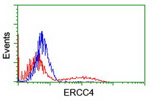 XPF Antibody in Flow Cytometry (Flow)