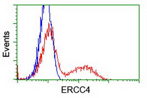 XPF Antibody in Flow Cytometry (Flow)