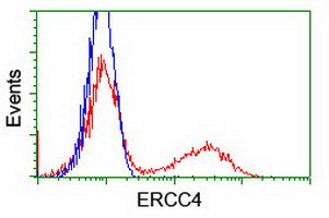 XPF Antibody in Flow Cytometry (Flow)