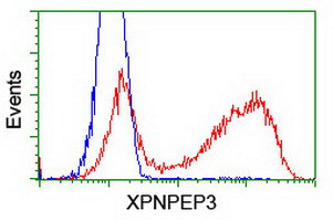 XPNPEP3 Antibody in Flow Cytometry (Flow)