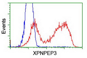 XPNPEP3 Antibody in Flow Cytometry (Flow)