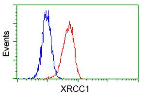 XRCC1 Antibody in Flow Cytometry (Flow)