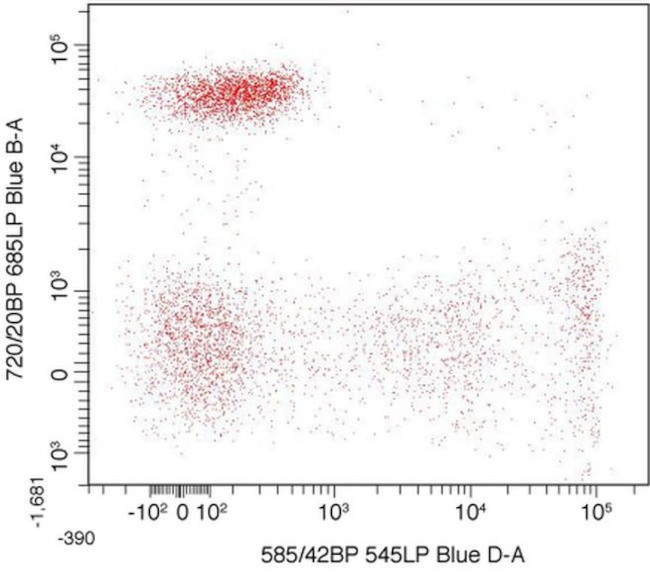 CD8 Antibody in Flow Cytometry (Flow)