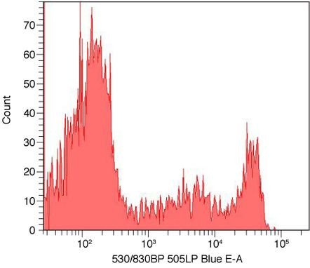 CD8 Antibody in Flow Cytometry (Flow)