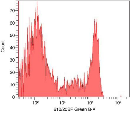 CD8 Antibody in Flow Cytometry (Flow)