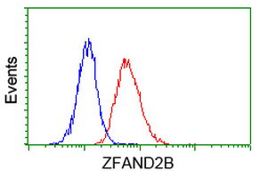 ZFAND2B Antibody in Flow Cytometry (Flow)