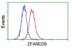 ZFAND2B Antibody in Flow Cytometry (Flow)