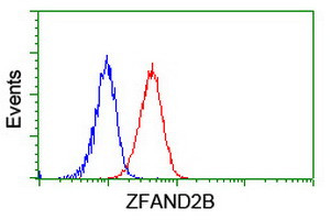 ZFAND2B Antibody in Flow Cytometry (Flow)