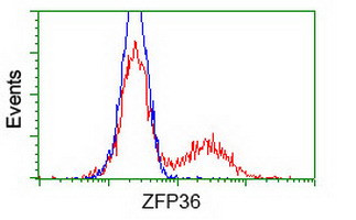 ZFP36 Antibody in Flow Cytometry (Flow)