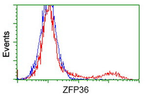 ZFP36 Antibody in Flow Cytometry (Flow)