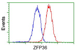 ZFP36 Antibody in Flow Cytometry (Flow)