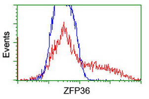 ZFP36 Antibody in Flow Cytometry (Flow)