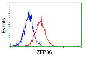 ZFP36 Antibody in Flow Cytometry (Flow)