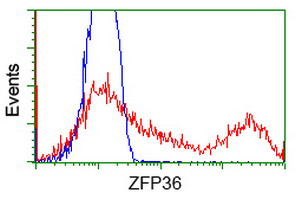 ZFP36 Antibody in Flow Cytometry (Flow)