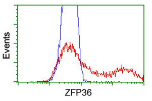 ZFP36 Antibody in Flow Cytometry (Flow)