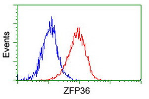 ZFP36 Antibody in Flow Cytometry (Flow)