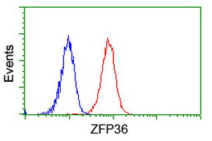 ZFP36 Antibody in Flow Cytometry (Flow)