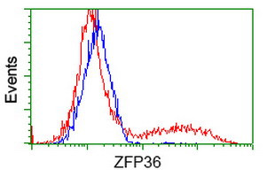 ZFP36 Antibody in Flow Cytometry (Flow)