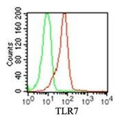 TLR7 Antibody in Flow Cytometry (Flow)