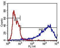 beta-3 Tubulin Antibody in Flow Cytometry (Flow)