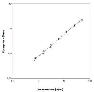 Human p53 ELISA Kit