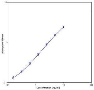 Human VEGF Receptor 1 (Soluble) ELISA Kit