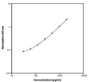 Rat IFN gamma ELISA Kit