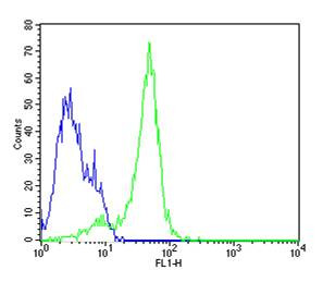 Nestin Antibody in Flow Cytometry (Flow)