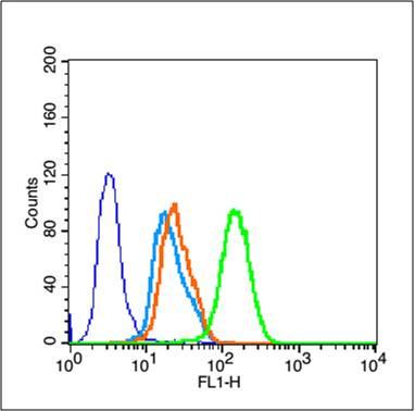 GSK-3 Beta CT Antibody in Flow Cytometry (Flow)