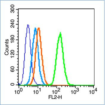 Insulin Receptor alpha Antibody in Flow Cytometry (Flow)