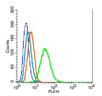 Caspase 9 Antibody in Flow Cytometry (Flow)