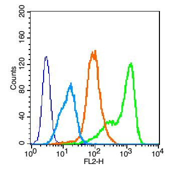 EGFR Antibody in Flow Cytometry (Flow)